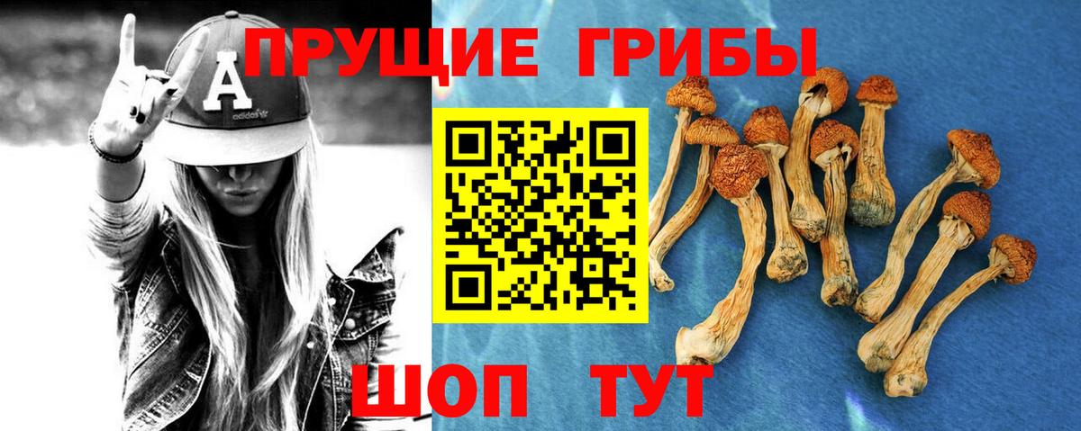 Хабаровск  Псилоцибиновые грибы прущие грибы  Вход с VPN  Галлюциногенные грибы прущие грибы 